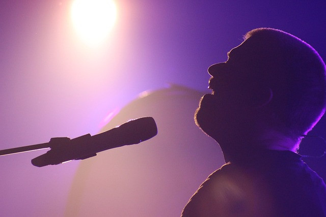 Ilustrasi singer, sillouette, concert. Foto: Pixabay