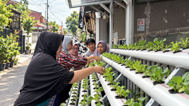 Masyarakat tampak antusias merawat tanaman sayuran lewat sistem hidroponik. Foto: dok. Istimewa.