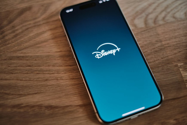 Ilustrasi Nonton Flex X Cop Season 2 Episode 14 Sub Indo di Disney+, Foto: Unsplash/appshunter.io