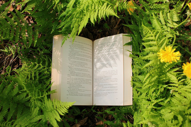 Ilustrasi Sanepo Adalah Apa,Foto:Unsplash/Katherine St-Pierre