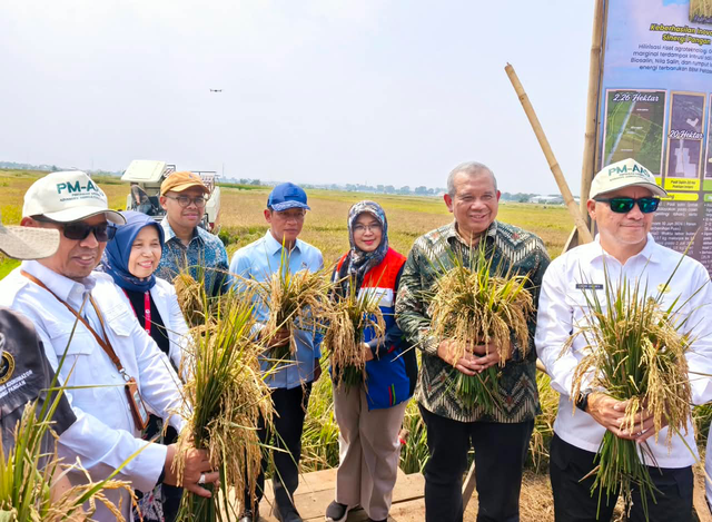 Wakil Menteri Koordinator Bidang Pangan RI, Hanif Faisol Nurofiq (keempat dari kiri), Perusahaan Gas Negara (PGN), Badan Riset dan Inovasi Nasional (BRIN), dan Pemkab Batang melaksanakan panen raya Padi Biosalin sekitar 166,5 ton gabah kering di Batang pada Jumat (18/9/2026). Foto: Dok. Pertamina