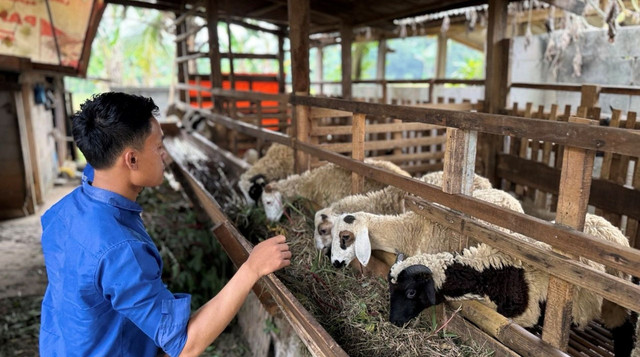 Aldi, Penerima Beasiswa Mahasiswa DT Peduli yang memiliki keahlian serba bisa, mandiri pribadinya dan keteguhan hati yang kuat (Sumber: DT Peduli)