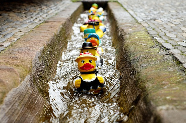 Ilustrasi rubber duck, bath duck, toy. Foto: Pixabay