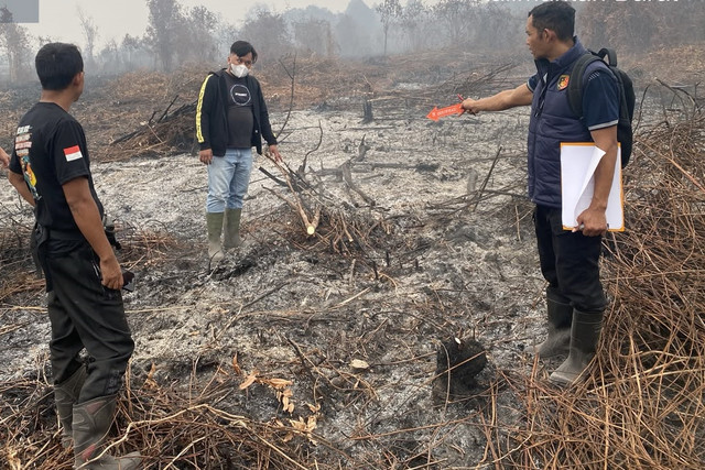 Polisi selidiki anggota DPRD Mempawah bakar lahan untuk kebun sawit. Foto: Dok. Istimewa