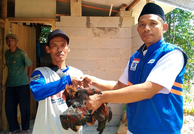 Ayam KUB dipilih menjadi komoditas program peternak sejatera di wilayah tersebut (Sumber: DT Peduli)