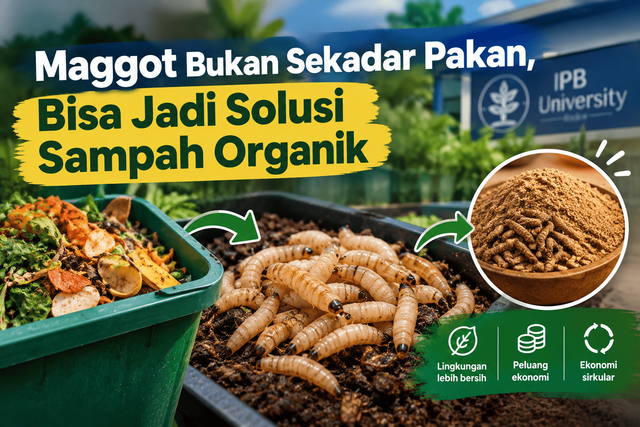 Maggot sebagai solusi pengolahan sampah organik.Sumber: Dibuat dengan AI (ChatGPT/OpenAI).