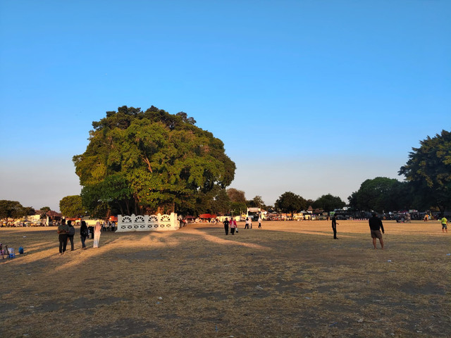 Suasana Alun-alun Kidul Yogyakarta pada Senin (21/9/2026) sore. Foto: Arfiansyah Panji Purnandaru/kumparan