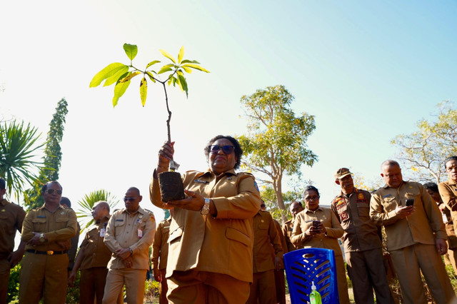Wakil Menteri Dalam Negeri (Wamendagri) Ribka Haluk dorong Pemda dan masyarakat NTT lakukan penghijauan serentak untuk dukung Gerakan Indonesia ASRI di Kupang, Senin (21/9/2026). Foto: Kemendagri RI
