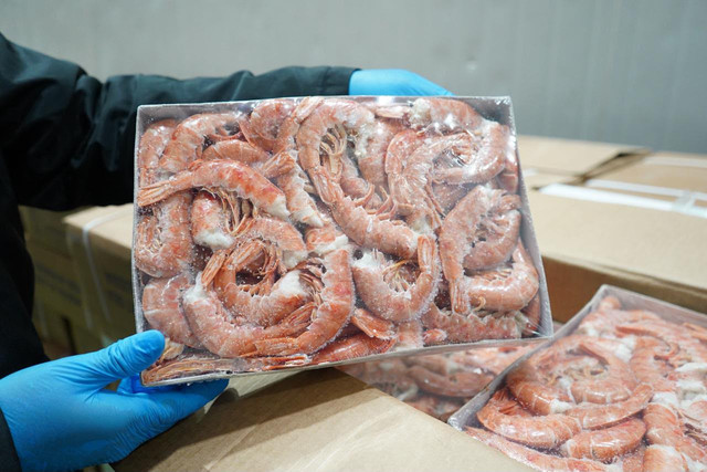 KKP sita udang impor di Jawa Timur. 