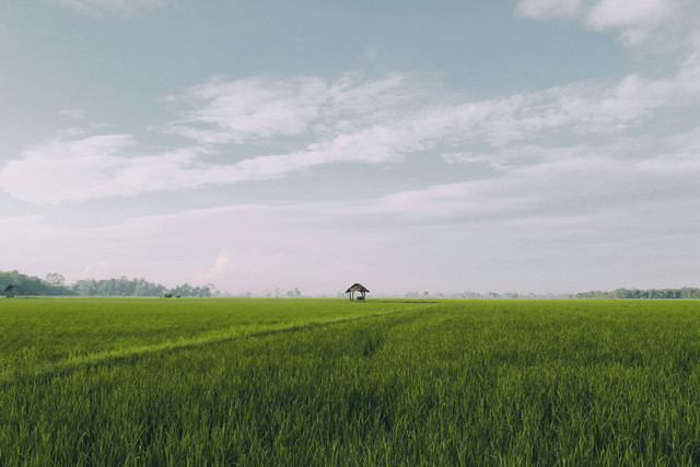 Sumber: Unsplash.com