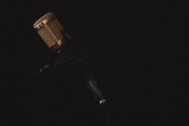Ilustrasi microphone, music, sound. Foto: Pixabay