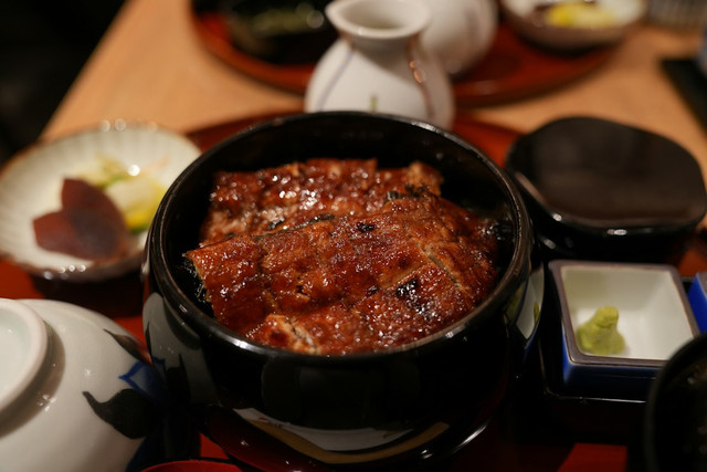 Ilustrasi Unagi itu apa. Foto: Unsplash.com/sati