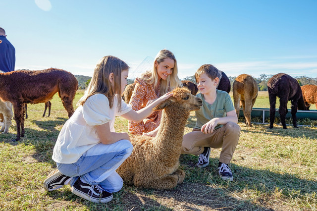 Ilustrasi liburan ke New South Wales bareng keluarga. Foto: dok. Destination NSW