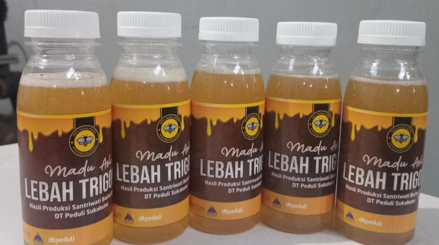 Hasil Panen Madu Trigona (Sumber: DT Peduli)