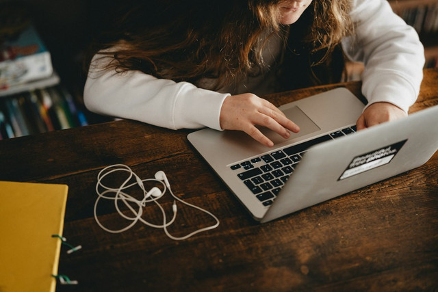 Ilustrasi Daily Vlog Artinya. Foto: Unsplash/Annie Spratt