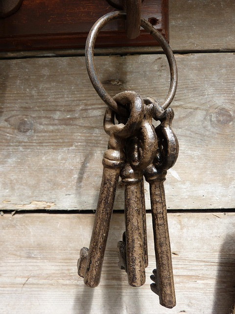 Ilustrasi key, keychain, close up. Foto: Pixabay