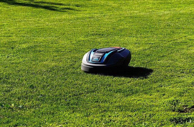 Ilustrasi lawn mower, battery mower, lawn mower robot. Foto: Pixabay