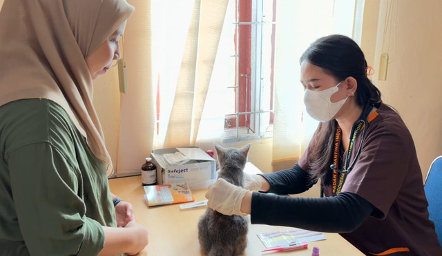Dokter Hewan Karantina saat memberikan vaksin rabies di Badau