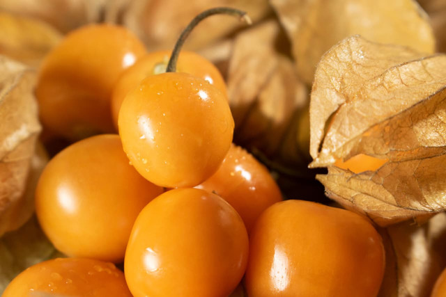 Buah ciplukan segar (sumber: pexels.com)