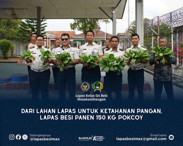Dari Lahan Lapas untuk Ketahanan Pangan, Lapas Besi Panen 150 Kg Pokcoy