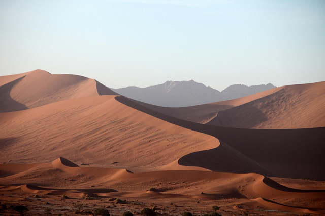 Ilustrasi padang pasir yang menjadi latar kisah Dune. (Foto: Pixabay)