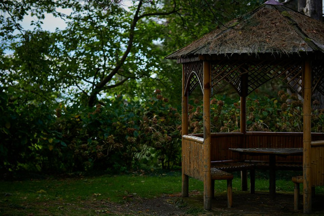Apa itu Gazebo. Unsplash.com/Karen Kasparov