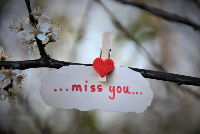 Tulisan "...miss you..." yang ditempelkan pada ranting dengan penjepit pakaian. Foto: Pixabay