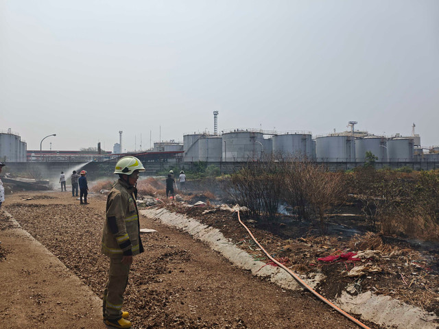 Kebakaran Alang - Alang di Cilincing, Jakarta Utara, Kamis (1/10/2026). Foto: Dok. Sudin Gulkarmat Jakut