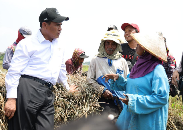 Mentan Andi Amran Sulaiman berbincang dengan sejumlah petani. Foto: Dok. Kementan