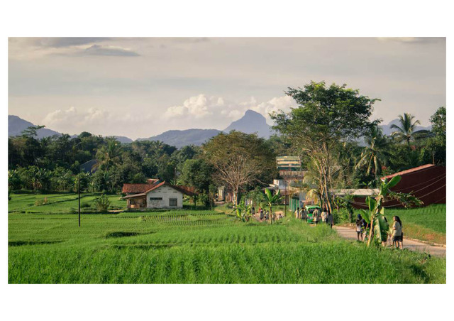 Ilustrasi tanah warisan berupa hamparan sawah dan rumah di pedesaan. (sumber: Efsanjoi Siringoringo/Unsplash)