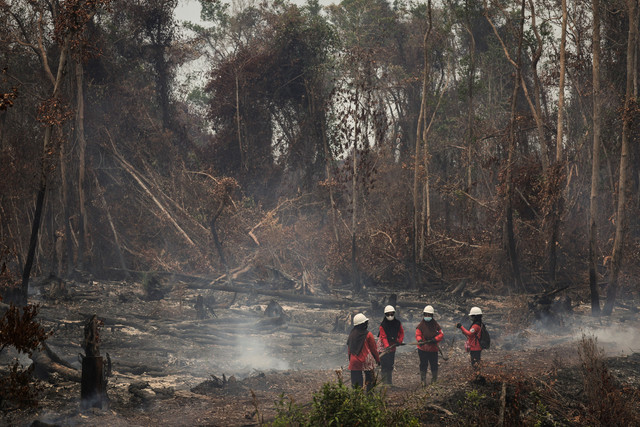 Anggota The Power of Mama, kelompok relawan pemadam kebakaran perempuan, menyiapkan selang untuk memadamkan karhutla di kawasan gambut Sungai Putri, Kabupaten Ketapang, Kalimantan Barat, Sabtu (29/8/2026). Foto: Willy Kurniawan/REUTERS