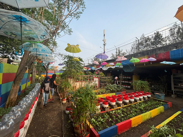 Suasana Taman Warna Warni yang membudidayakan sayuran di bawah kolong tol di Kelurahan Warakas, Tanjung Priok, Jakarta Utara, Minggu (4/10/2026). Foto: Pradya Tirta/kumparan