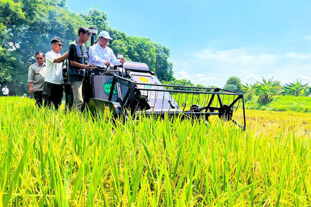 BPS catat produksi padi nasional Januari-Agustus 2026 capai 43,89 juta ton GKG atau naik 0,07 persen dibanding periode yang sama tahun sebelumnya, Jakarta, Kamis (1/10/2026). Foto: Kementan RI