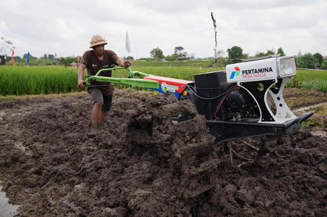 Program Desa Energi Berdikari Uma Palak Lestari di Denpasar. Foto: Pertamina