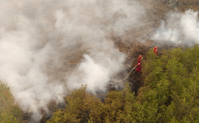 Foto udara personel Manggala Agni Daops Sum XIII-Sarolangun berusaha memadamkan kebakaran lahan gambut di Desa Riding, Pangkalan Lampam, Kabupaten Ogan Komering Ilir (OKI), Sumatera Selatan, Selasa (6/10/2026). Foto: Nova Wahyudi/ANTARA FOTO