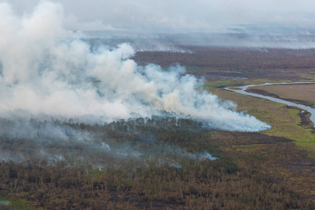 Foto udara asap membubung tinggi dari hutan yang terbakar di kawasan Suaka Margasatwa (SM) Padang Sugihan, Pangkalan Lampan, Kabupaten Ogan Komering Ilir (OKI), Sumatera Selatan, Selasa (6/10/2026).  Foto: Nova Wahyudi/ANTARA FOTO