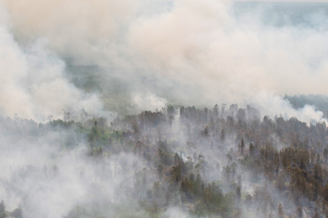 Ilustrasi Karhutla. Foto: Nova Wahyudi/ANTARA FOTO