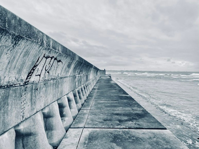 Ilustrasi apa itu Giant Sea Wall? Foto: Unsplash