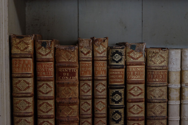 Ilustrasi karya sastra pujangga baru 1930.poto pexels.Foto oleh Leah dari Pexels: https://www.pexels.com/id-id/foto/buku-buku-pustaka-antik-rak-8115587/