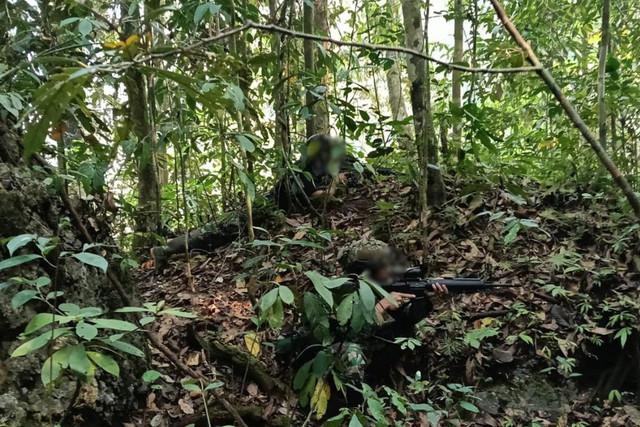 Kawasan hutan di Distrik Aifat Timur, Kabupaten Maybrat, Papua Barat Daya, lokasi kontak tembak antara tim patroli gabungan TNI dan kelompok bersenjata OPM, Jumat (9/10/2026). Foto: Dok. Penerangan Koops TNI Habema