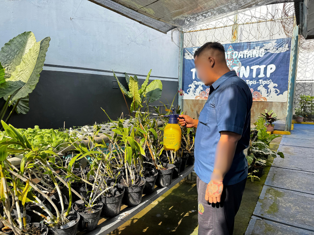 perawatan tanaman anggrek & sumber rutan jogja