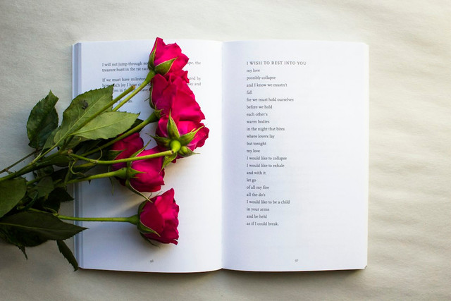 Ilustrasi Puisi tentang Hari Santri,Foto:Unsplash/Thought Catalog