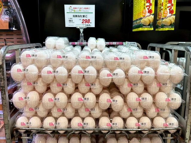 Ilustrasi telur di supermarket Jepang. Foto: Hiroshi-Mori-Stock/Shutterstock