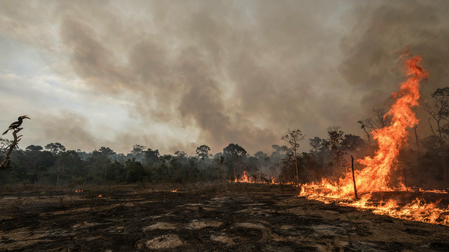 https://www.magnific.com/app/ai-image-generator karhutla kalimantan