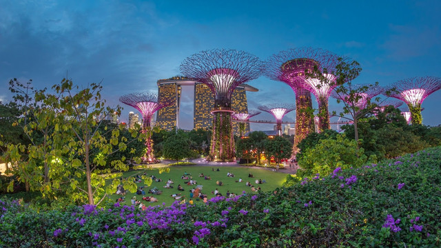 Pemandangan saat malam hari di Supertree Grove di Singapura. Foto: Kirill Neiezhmakov/Shutterstock