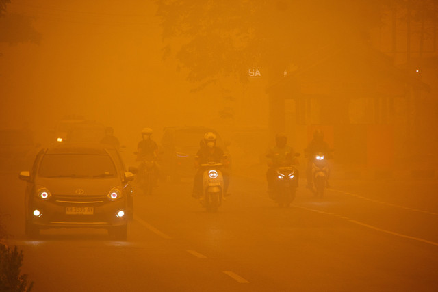 Pengendara berkendara melintasi jalan saat kabut asap kebakaran hutan menyelimuti kawasan Palangka Raya, Kalimantan Tengah, Rabu (14/10/2026). Foto: REUTERS/Arief Rahman Septian Prathama