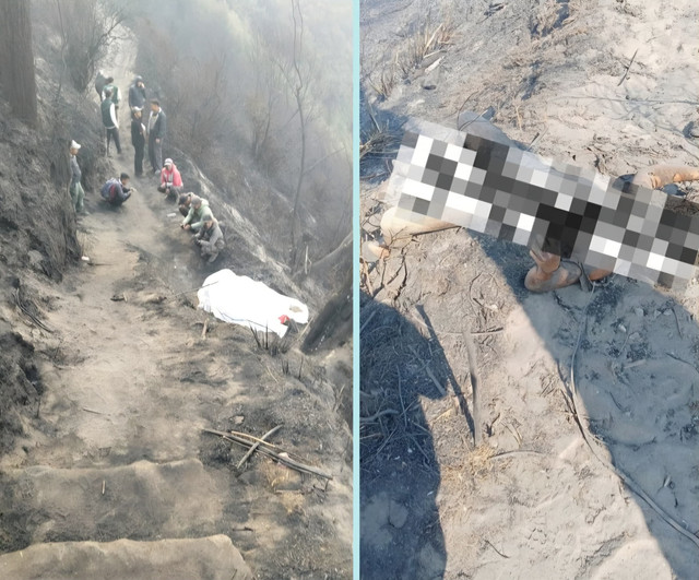 6 orang jadi korban kebakaran hutan dan lahan (karhutla) di kawasan TNBTS tepatnya di Pusung Lingker, Kecamatan Sukapura, Kabupaten Probolinggo, Kamis (15/10/2026). Foto: Dok. BPBD Jatim