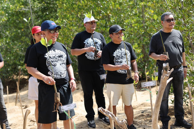 Sekretaris Jenderal DPP PDI Perjuangan Hasto Kristiyanto mengunjungi kawasan konservasi Clungup Mangrove Conservation (CMC) Tiga Warna di Malang, Jatim. Dok. PDIP