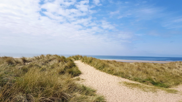 https://www.pexels.com/id-id/pencarian/pantai/