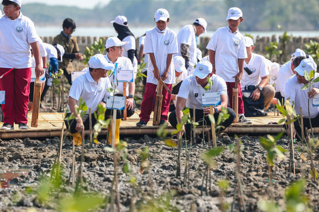 Menko Infrastruktur AHY bersama Gubernur Jateng Ahmad Luthfi menanam mangrove berbasis inovasi HexBricks untuk mengatasi abrasi di Desa Timbulsloko, Sayung, Demak, Senin (19/10/2026). Foto: Dok. Pemprov Jateng